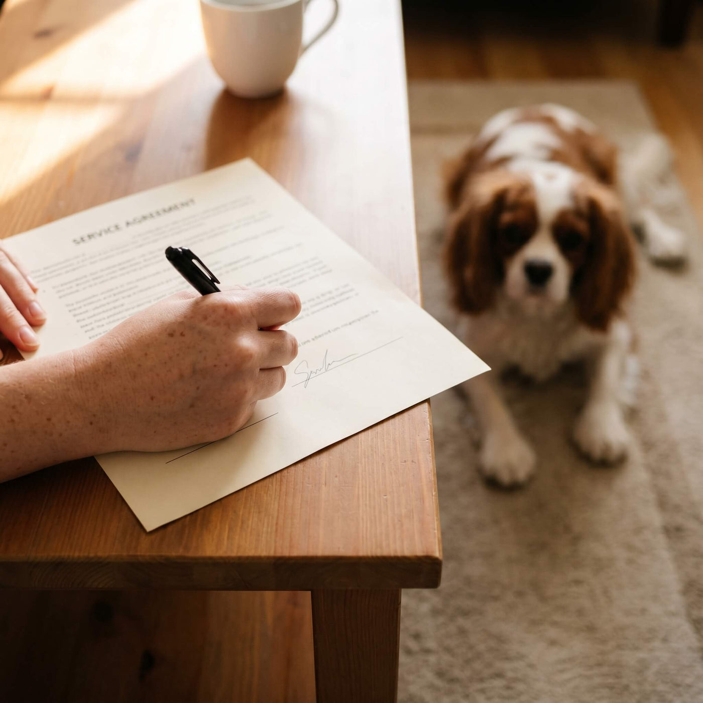 Hand signing a service agreement