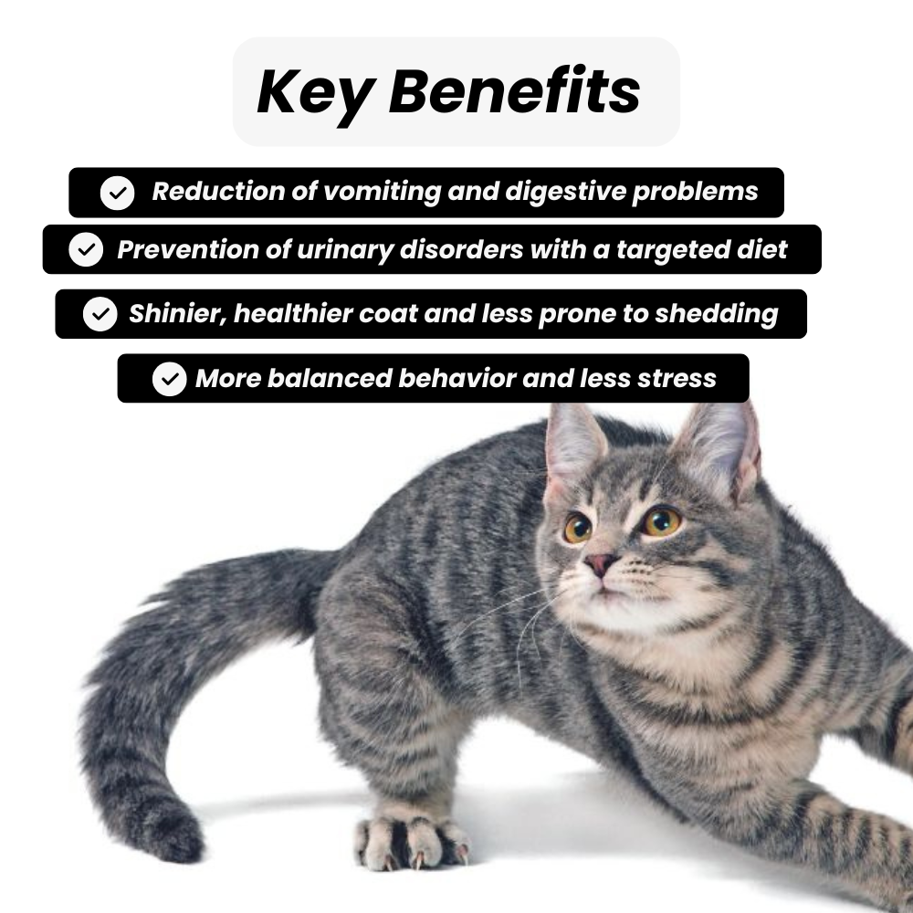 Feline Problem Solver Pack