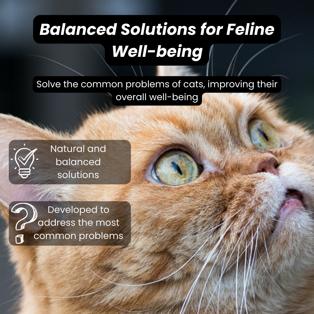 Cat Problem Lines Solution Feline Problem Solver Pack – Identify and Address Common Cat Health ...