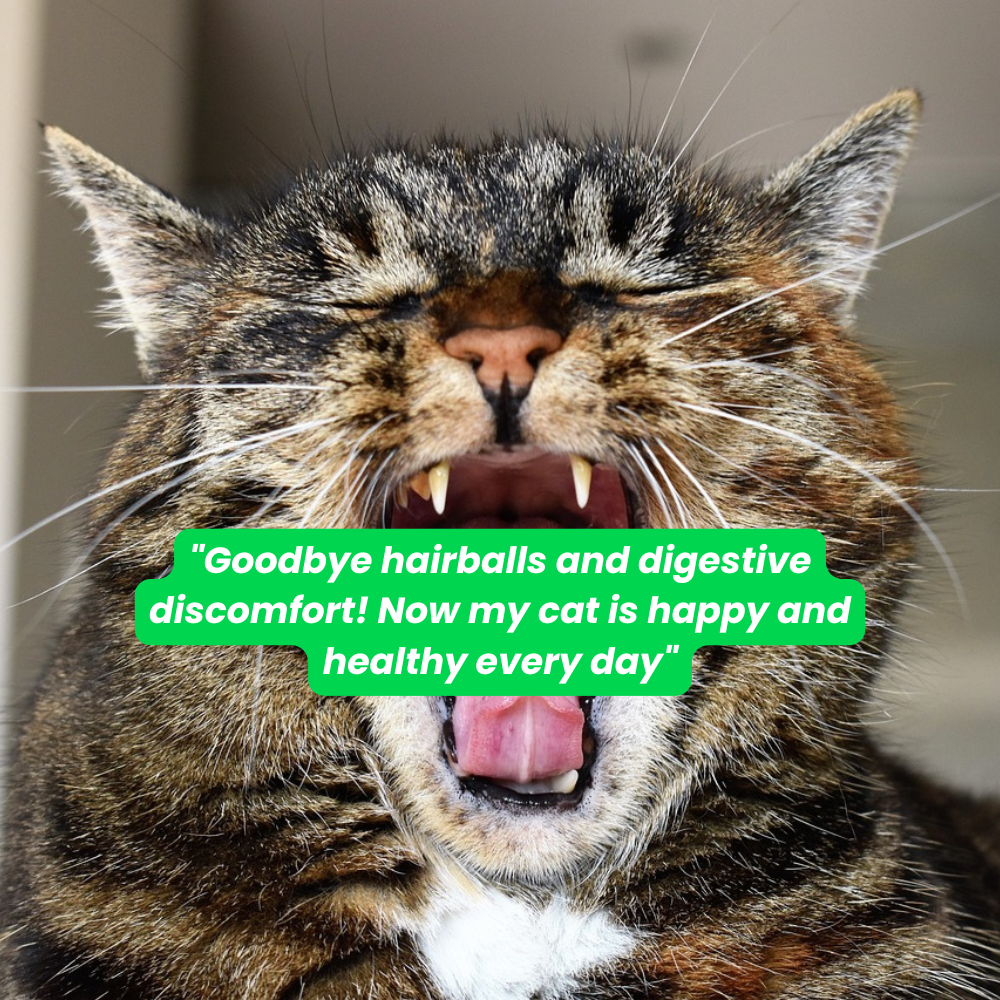 Feline Problem Solver Pack