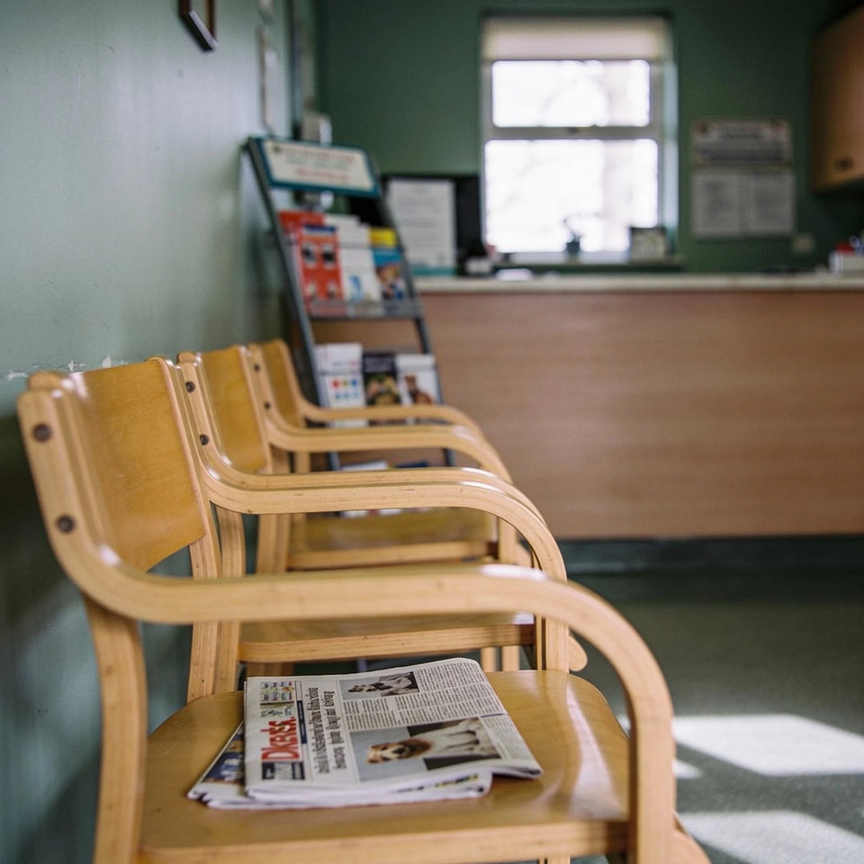 A row of empty wooden chairs in the quiet waiting area of a small veterinary practice, a folded newspaper on one seat.
